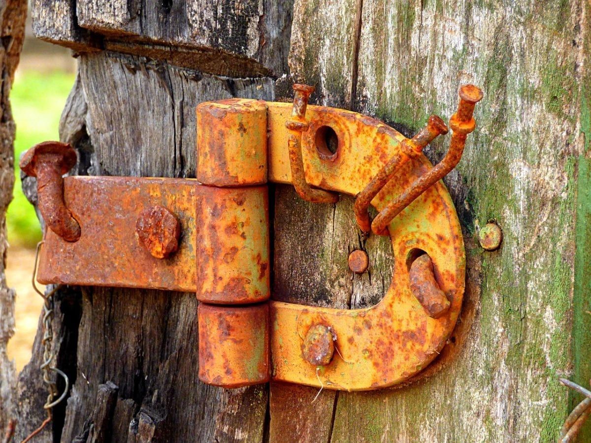 Image of an old latch on a tree