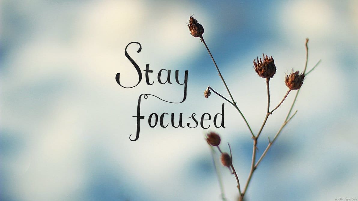 Image of dead plant and the words "stay focused"