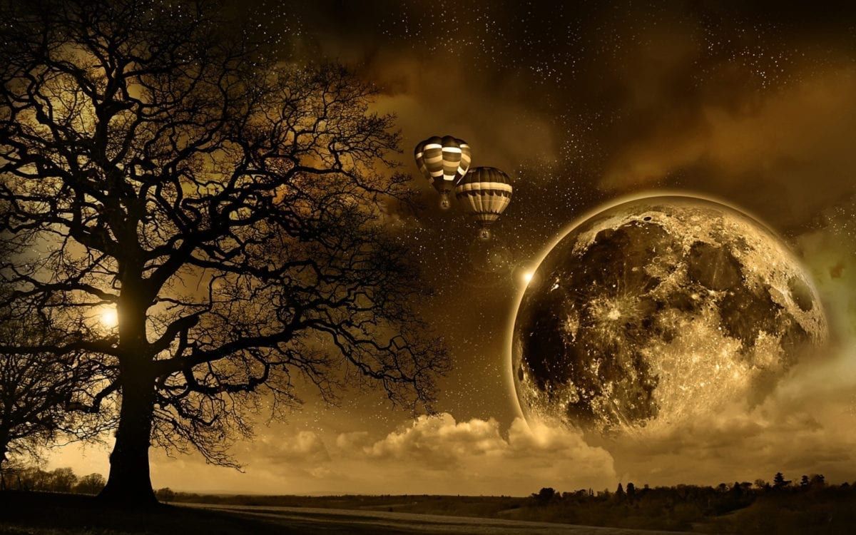 Image of a tree, with the moon, and hot air ballons