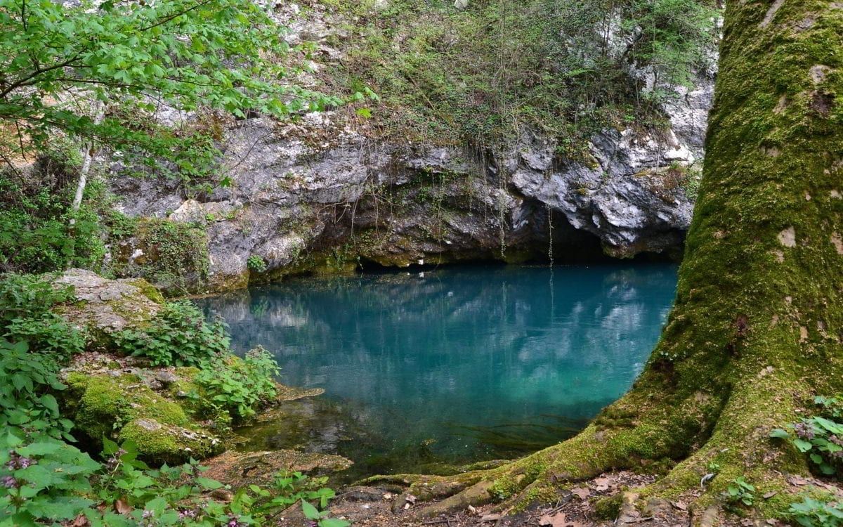 Image of a lake with a cave surrounded by trees
