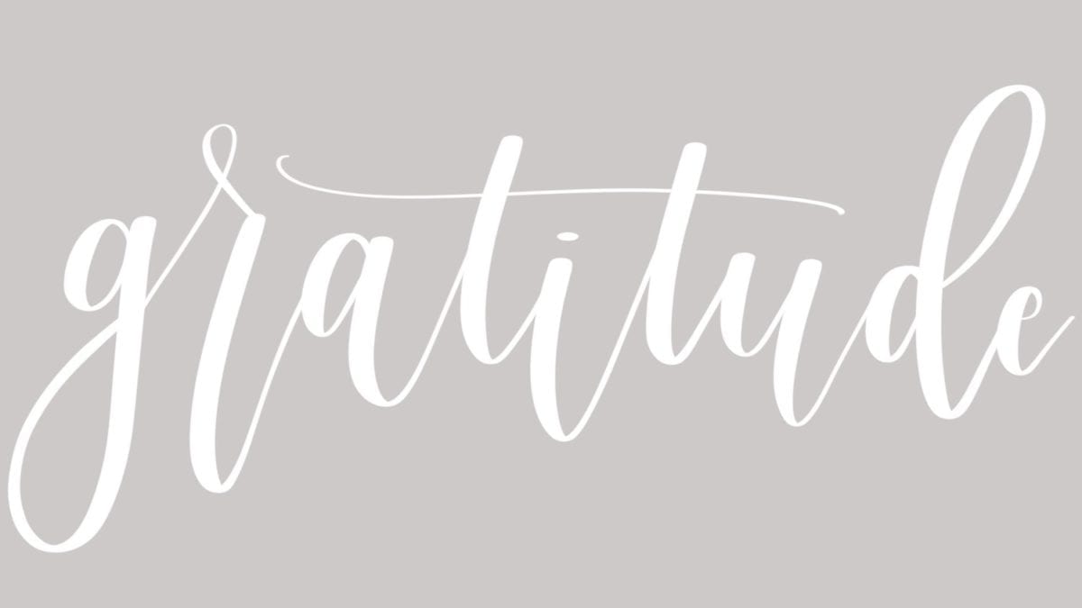 Why Do We Want? Dave Fresilli Personalized Wellness